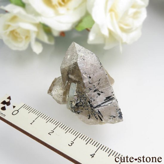 ʥߥӥ 󥴻 ޥ&⡼ġ֥åȥޥη뾽ʸС24.9gμ̿3 cute stone