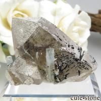 ʥߥӥ 󥴻 ޥ&⡼ġ֥åȥޥη뾽ʸС24.9gβ