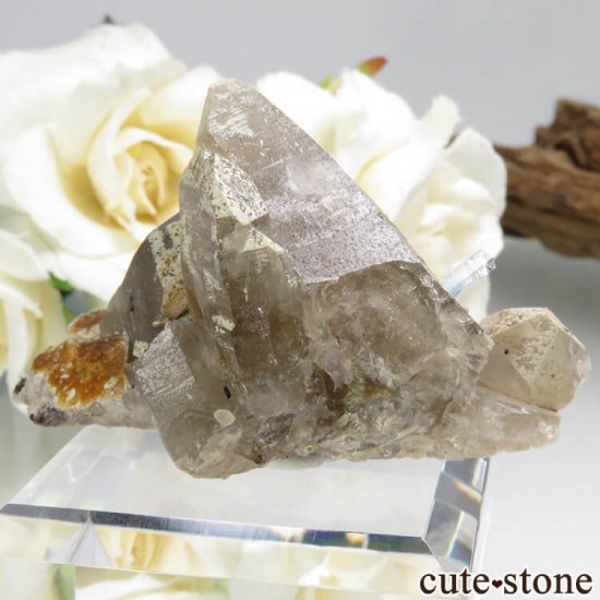 ʥߥӥ 󥴻 ޥ&⡼ġ֥åȥޥη뾽ʸС34.4gμ̿1 cute stone