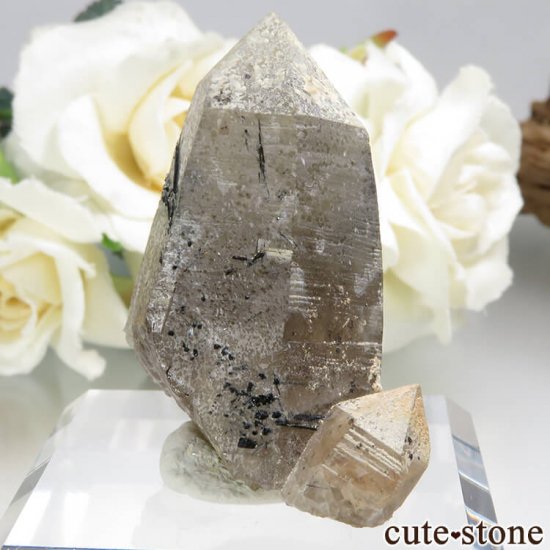 ʥߥӥ 󥴻 ޥ&⡼ġ֥åȥޥη뾽ʸС20.6gμ̿0 cute stone