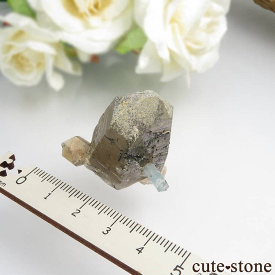 ʥߥӥ 󥴻 ޥ&⡼ġ֥åȥޥη뾽ʸС20.6gμ̿3 cute stone