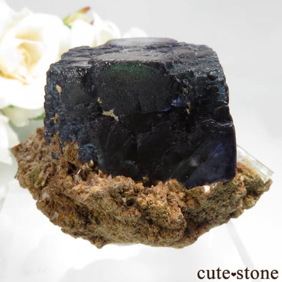 ʥߥӥ 󥴻 ե饤ȡޥդ뾽ʸС75.6gμ̿0 cute stone
