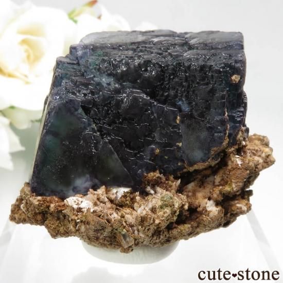 ʥߥӥ 󥴻 ե饤ȡޥդ뾽ʸС75.6gμ̿1 cute stone