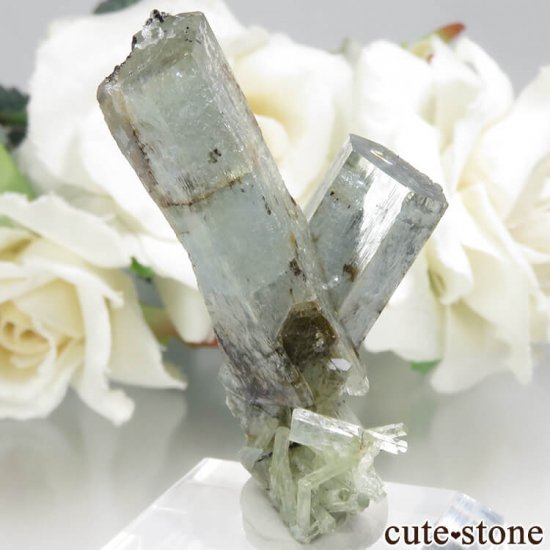 ʥߥӥ 󥴻 ޥ֥åȥޥη뾽ʸС7.4gμ̿1 cute stone