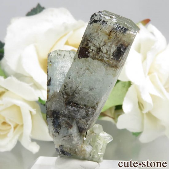 ʥߥӥ 󥴻 ޥ֥åȥޥη뾽ʸС7.4gμ̿2 cute stone