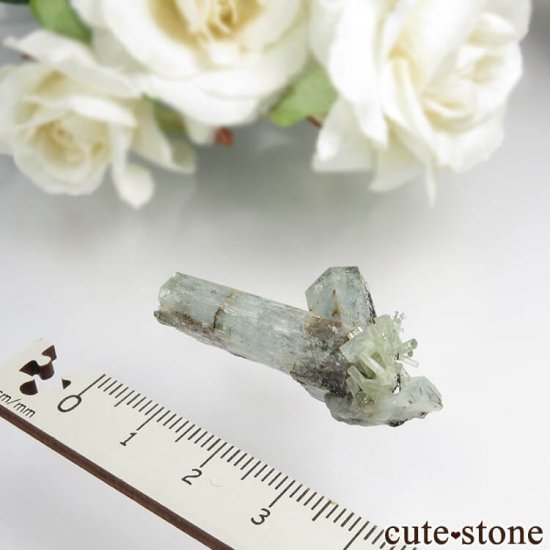 ʥߥӥ 󥴻 ޥ֥åȥޥη뾽ʸС7.4gμ̿3 cute stone