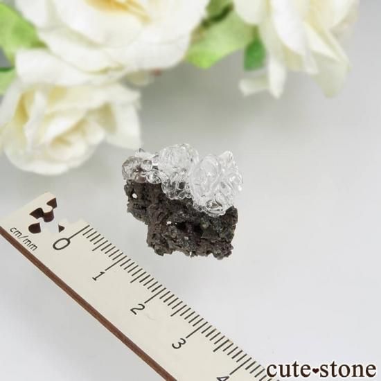 ハンガリー Kopasz Hill andesite quarry産 ハイアライト
