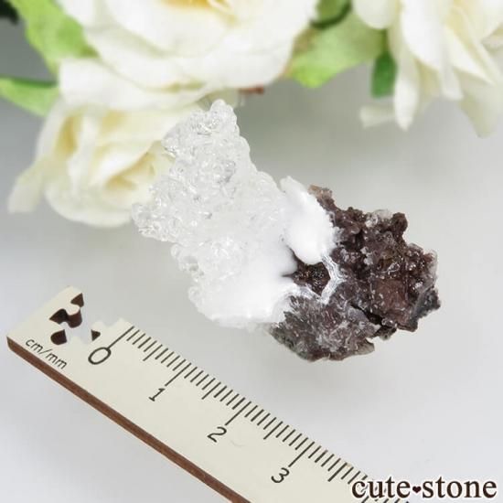 ϥ󥬥꡼ Kopasz Hill andesite quarry ϥ饤(ѡ)饴ʥȤդ 12.5gμ̿6 cute stone