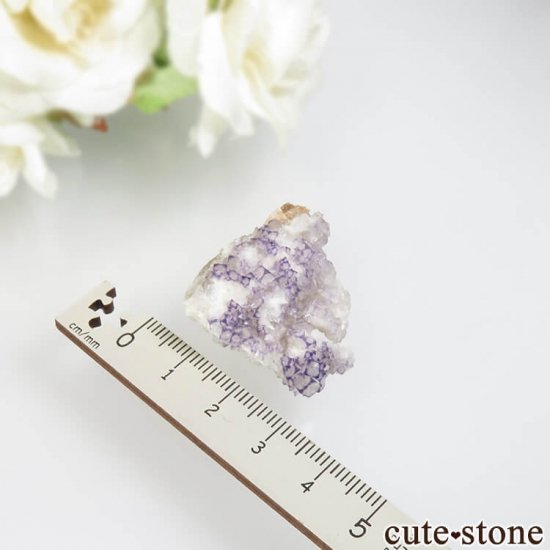  Qinglong Mine ѡץߥۥ磻ȥե饤 13.7gμ̿3 cute stone