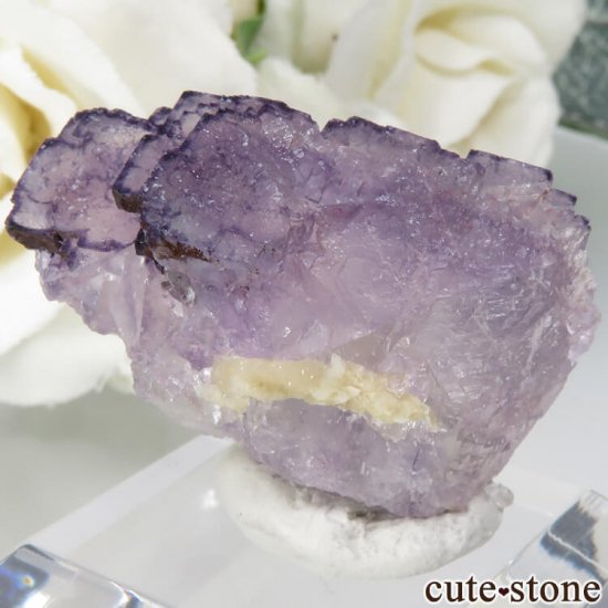  Qinglong Mine ѡץߥۥ磻ȥե饤 13.3gμ̿0 cute stone