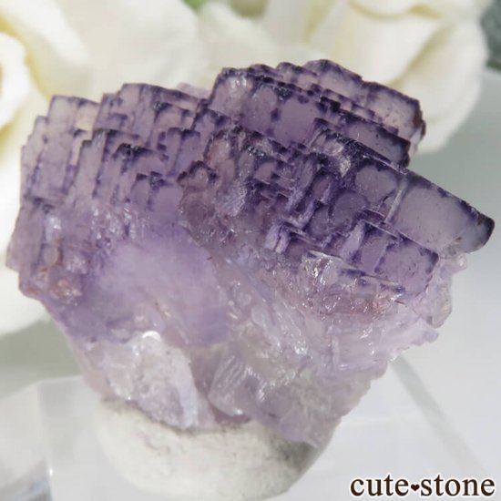  Qinglong Mine ѡץߥۥ磻ȥե饤 13.3gμ̿1 cute stone