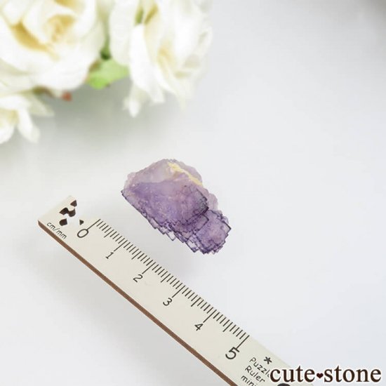  Qinglong Mine ѡץߥۥ磻ȥե饤 13.3gμ̿2 cute stone