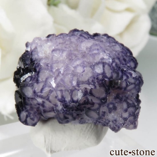  Qinglong Mine ѡץߥۥ磻ȥե饤 7.4gμ̿0 cute stone