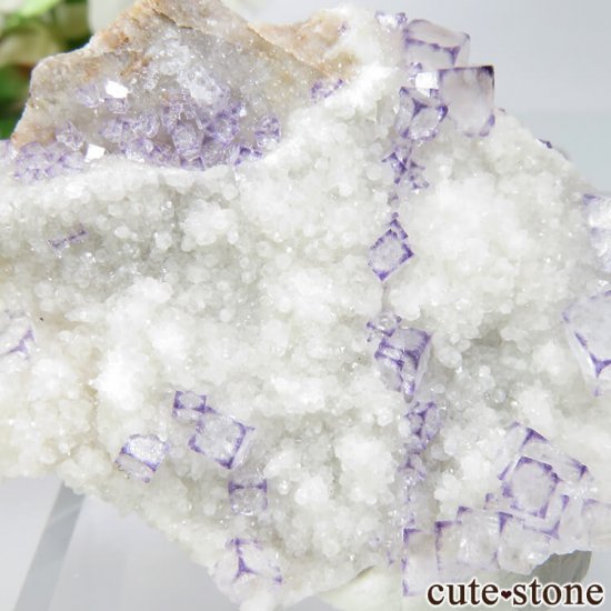  Qinglong Mine ѡץߥۥ磻ȥե饤ȡ 16gμ̿2 cute stone