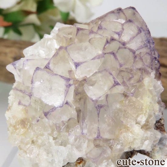  Qinglong Mine ѡץߥۥ磻ȥե饤 22.6gμ̿2 cute stone