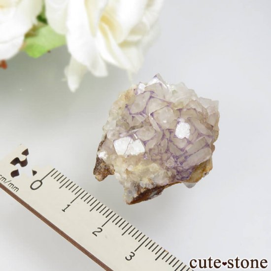  Qinglong Mine ѡץߥۥ磻ȥե饤 22.6gμ̿3 cute stone