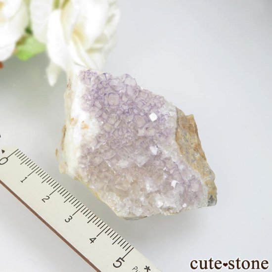  Qinglong Mine ѡץߥۥ磻ȥե饤 54.2gμ̿4 cute stone