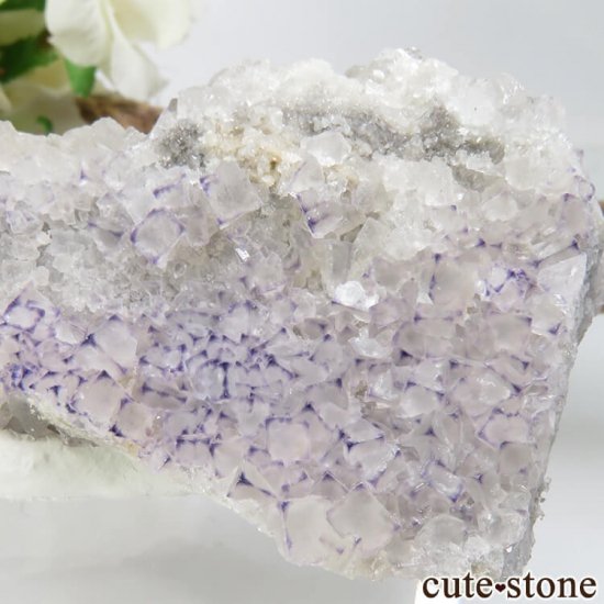  Qinglong Mine ѡץߥۥ磻ȥե饤 49.6gμ̿2 cute stone