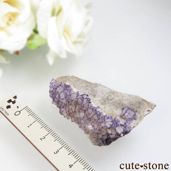  Qinglong Mine ѡץߥۥ磻ȥե饤 34.8gμ̿4 cute stone