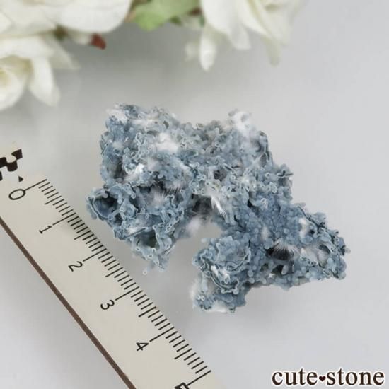  󥬡СɻΥǥʥȡ륻ɥˡ 11.4gμ̿3 cute stone