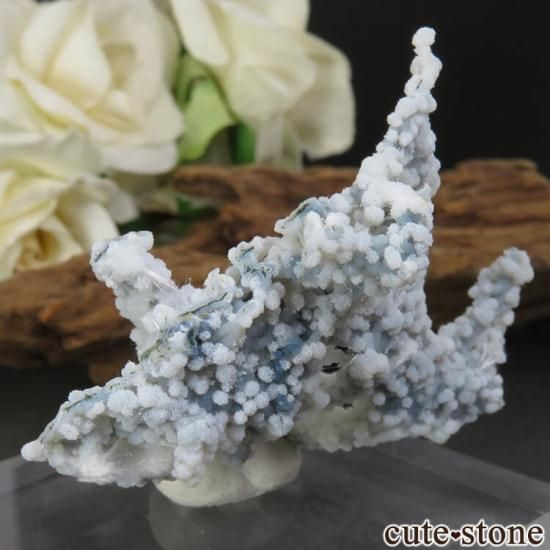  󥬡СɻΥǥʥȡ륻ɥˡ 4.5gμ̿1 cute stone