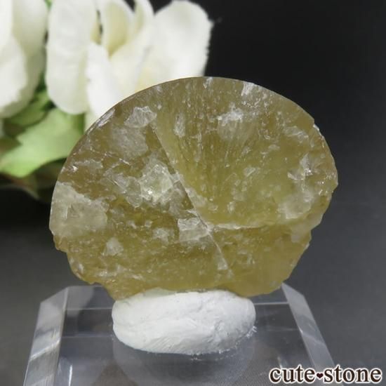 ɻ Υե饤Ȥθ 11.5gμ̿1 cute stone