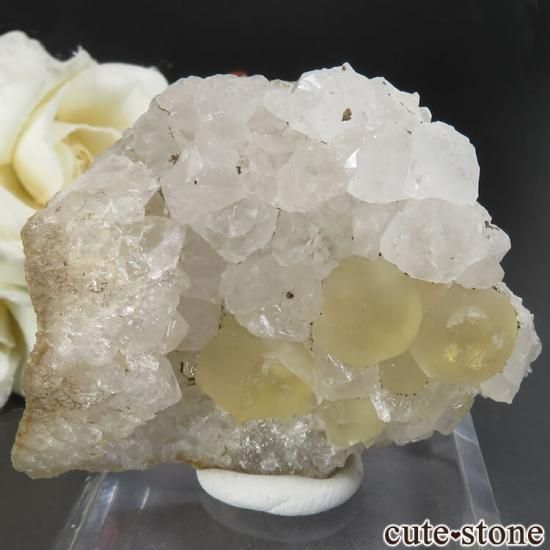 ɻ Υե饤ȡĤθ 29g