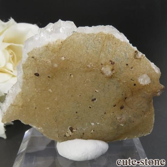 ɻ Υե饤ȡĤθ 29gμ̿1 cute stone