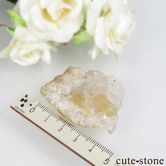 ɻ Υե饤ȡĤθ 29gμ̿4 cute stone
