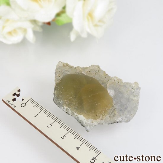 ɻ Υե饤ȡĤθ 38.8gμ̿3 cute stone