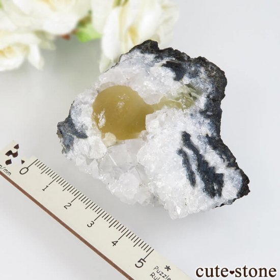 ɻ Υե饤ȡĤθ 92gμ̿3 cute stone