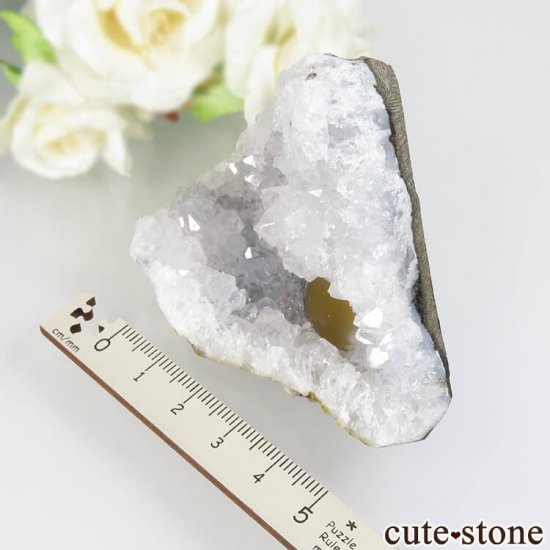 ɻ Υե饤ȡĤθ 133.8gμ̿5 cute stone