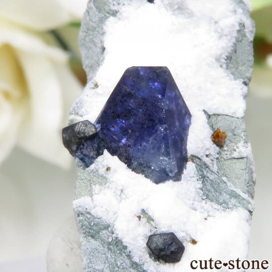 ե˥ ٥˥ȥȡ祢ʥȡǥ쥢Ȥդ 5.8gμ̿2 cute stone