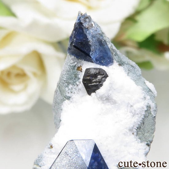 ե˥ ٥˥ȥȡ祢ʥȡǥ쥢Ȥդ 5.8gμ̿3 cute stone