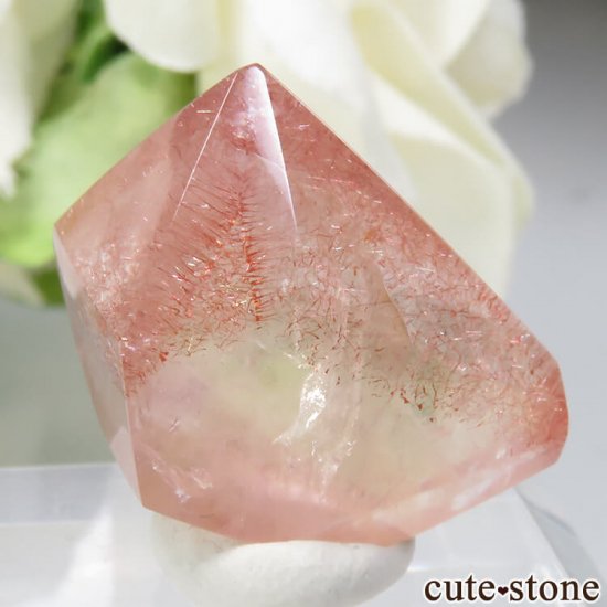 ե ȥ٥꡼(徽)Υݥå帶 No.2μ̿1 cute stone