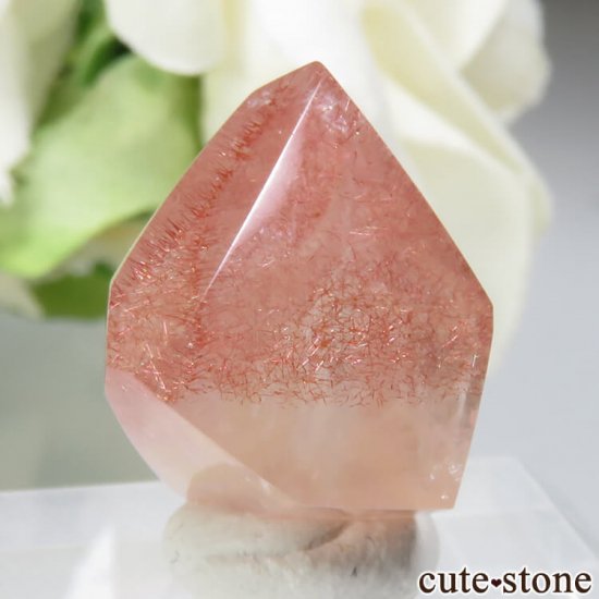 ե ȥ٥꡼(徽)Υݥå帶 No.2μ̿2 cute stone