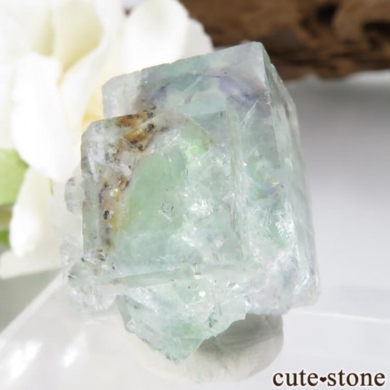 ɥ Dorfel Quarry ꡼ե饤ȡ 13.1gμ̿0 cute stone