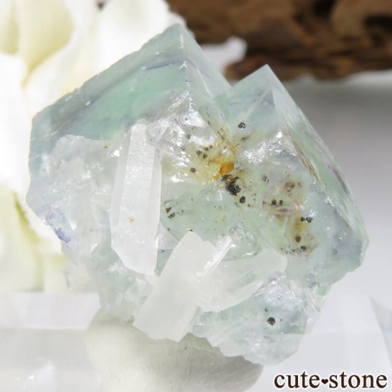 ɥ Dorfel Quarry ꡼ե饤ȡ 13.1gμ̿1 cute stone