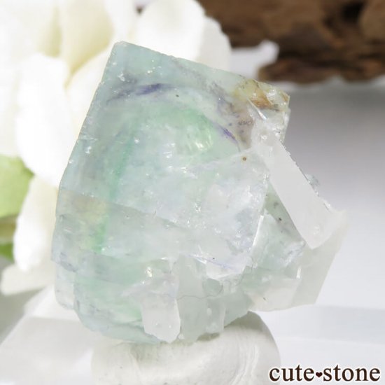 ɥ Dorfel Quarry ꡼ե饤ȡ 13.1gμ̿2 cute stone