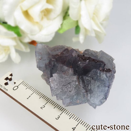 ɥ Dorfel Quarry ֥롼ե饤ȡ 41.9gμ̿4 cute stone
