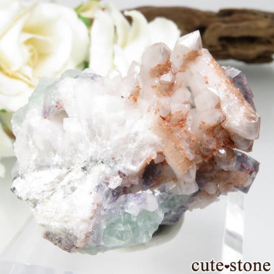 ɥ Dorfel Quarry ꡼ե饤ȡ 35.5gμ̿0 cute stone