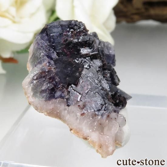 ɥ Dorfel Quarry ѡץե饤 9.9gμ̿0 cute stone