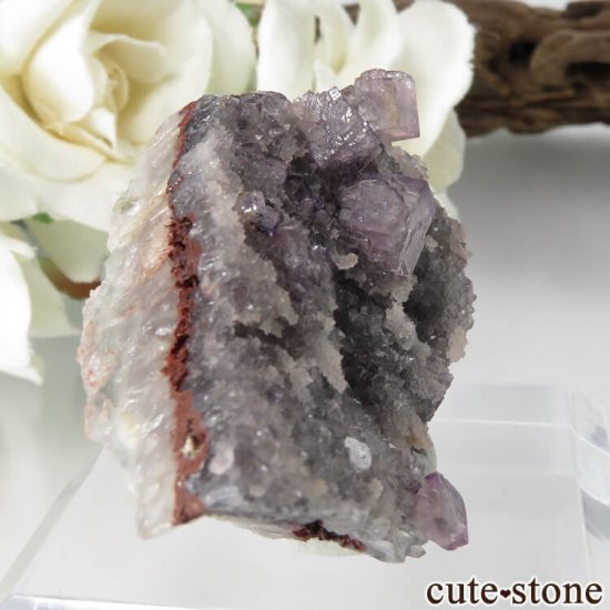 ɥ Dorfel Quarry ѡץե饤ȡ 21.1gμ̿0 cute stone