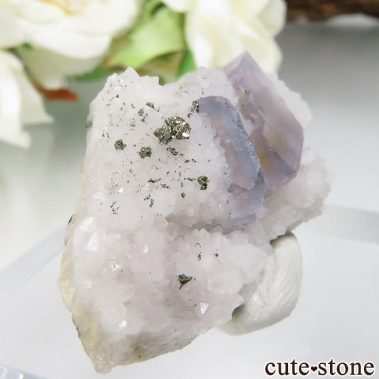 ɥ Dorfel Quarry ե饤ȡ 6.8gμ̿0 cute stone