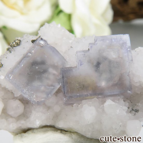 ɥ Dorfel Quarry ե饤ȡ 6.8gμ̿2 cute stone