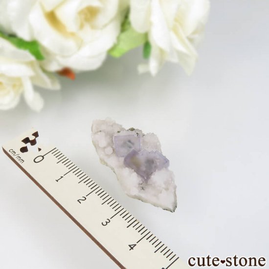 ɥ Dorfel Quarry ե饤ȡ 6.8gμ̿3 cute stone