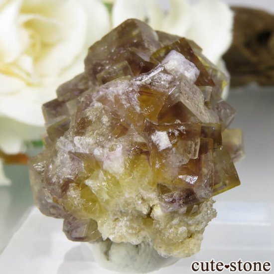 ɥ Dorfel Quarry ե饤 25.1gμ̿0 cute stone