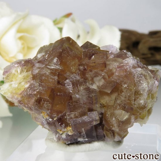 ɥ Dorfel Quarry ե饤 25.1gμ̿1 cute stone