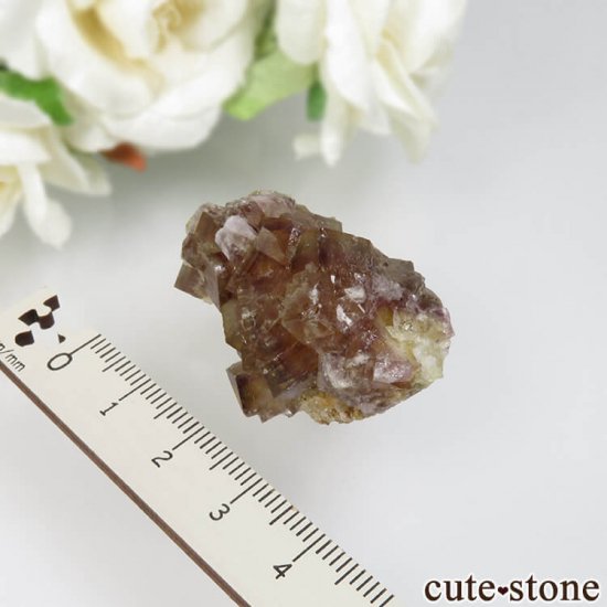 ɥ Dorfel Quarry ե饤 25.1gμ̿5 cute stone
