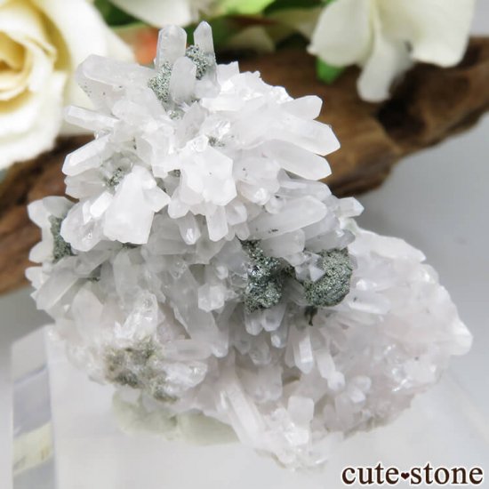 ɥ Dorfel Quarry ѡץե饤ȡ 14gμ̿0 cute stone